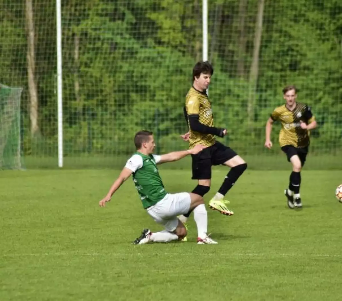 Sedmá výhra v řadě, Palkovice porážíme 3:1